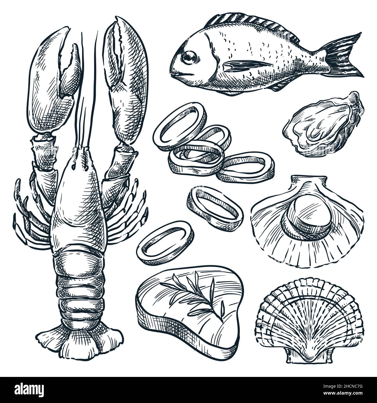 Ensemble de fruits de mer et de poissons frais crus.Illustration d'esquisse vectorielle dessinée à la main.Homards, dorada, pétoncles, calmars, thoniers icônes isolées sur fond blanc.Mer f Illustration de Vecteur