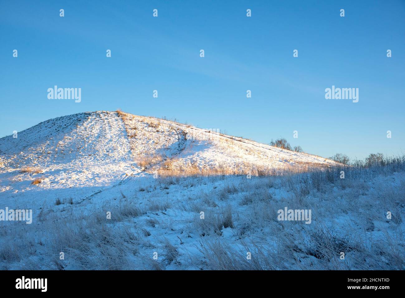 Royal Mounds dans Old Uppsala recouvert de neige Banque D'Images