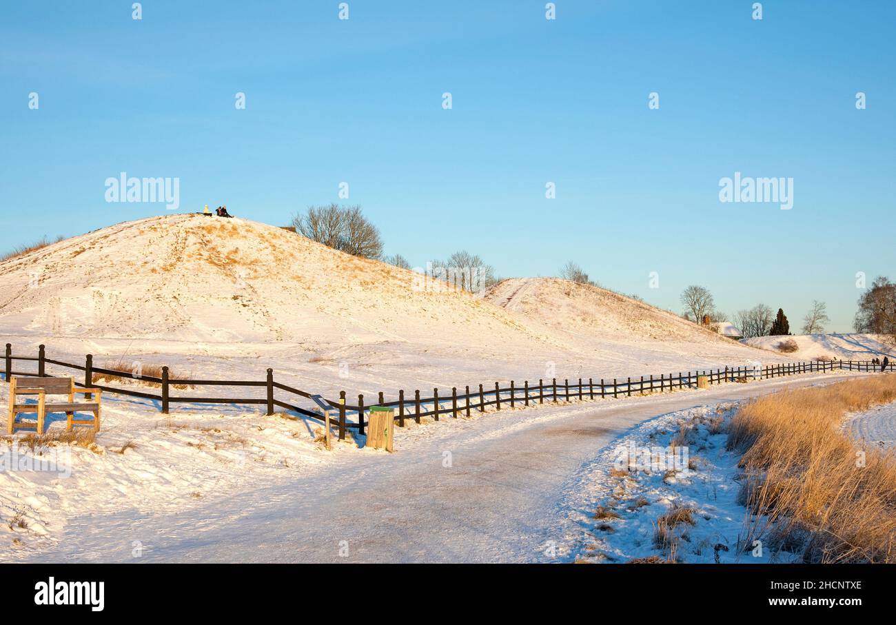 Royal Mounds dans le Vieux Uppsala, en Suède Banque D'Images