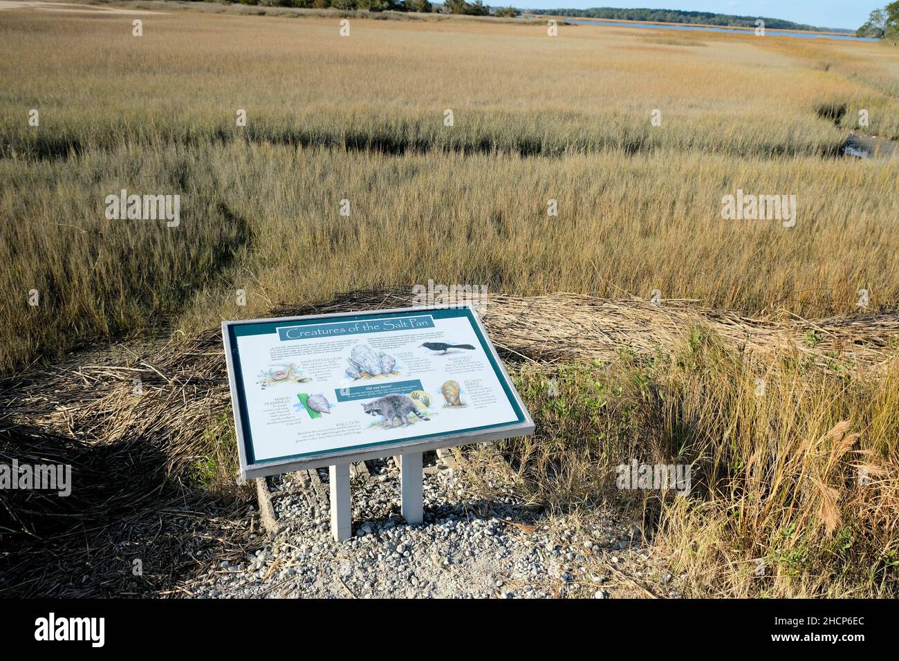 Pinckney Island National Wildlife refuge à Hilton Head, Caroline du Sud ; une réserve naturelle et forestière gérée par le complexe de Savannah Coastal Refuges. Banque D'Images