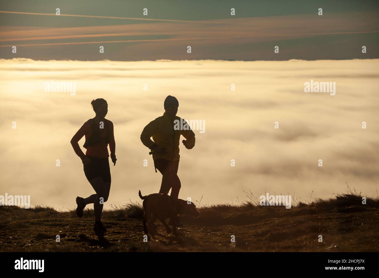 Deux coureurs et leur chien ont silhoueté contre une mer de nuages au sommet d'une colline. Banque D'Images