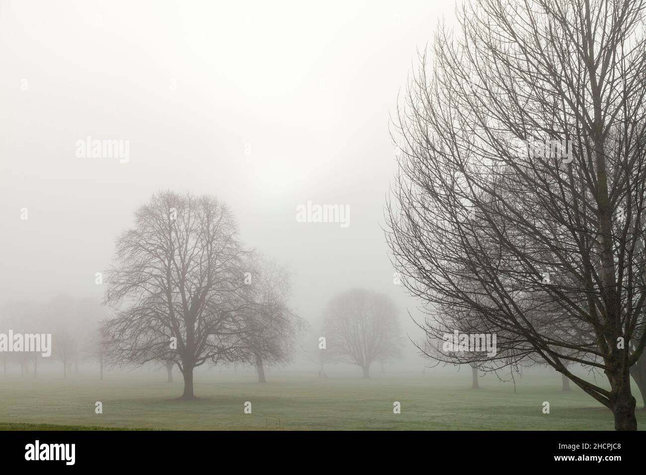 Un parc misty North Inch à Perth, en Écosse Banque D'Images