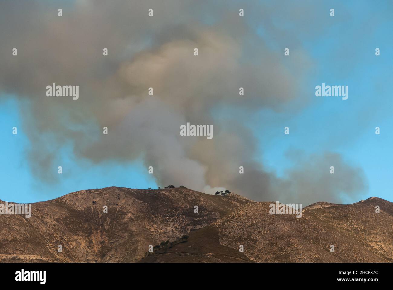 Axarquia en Espagne : le feu de décembre 2021 près de Competa. Banque D'Images