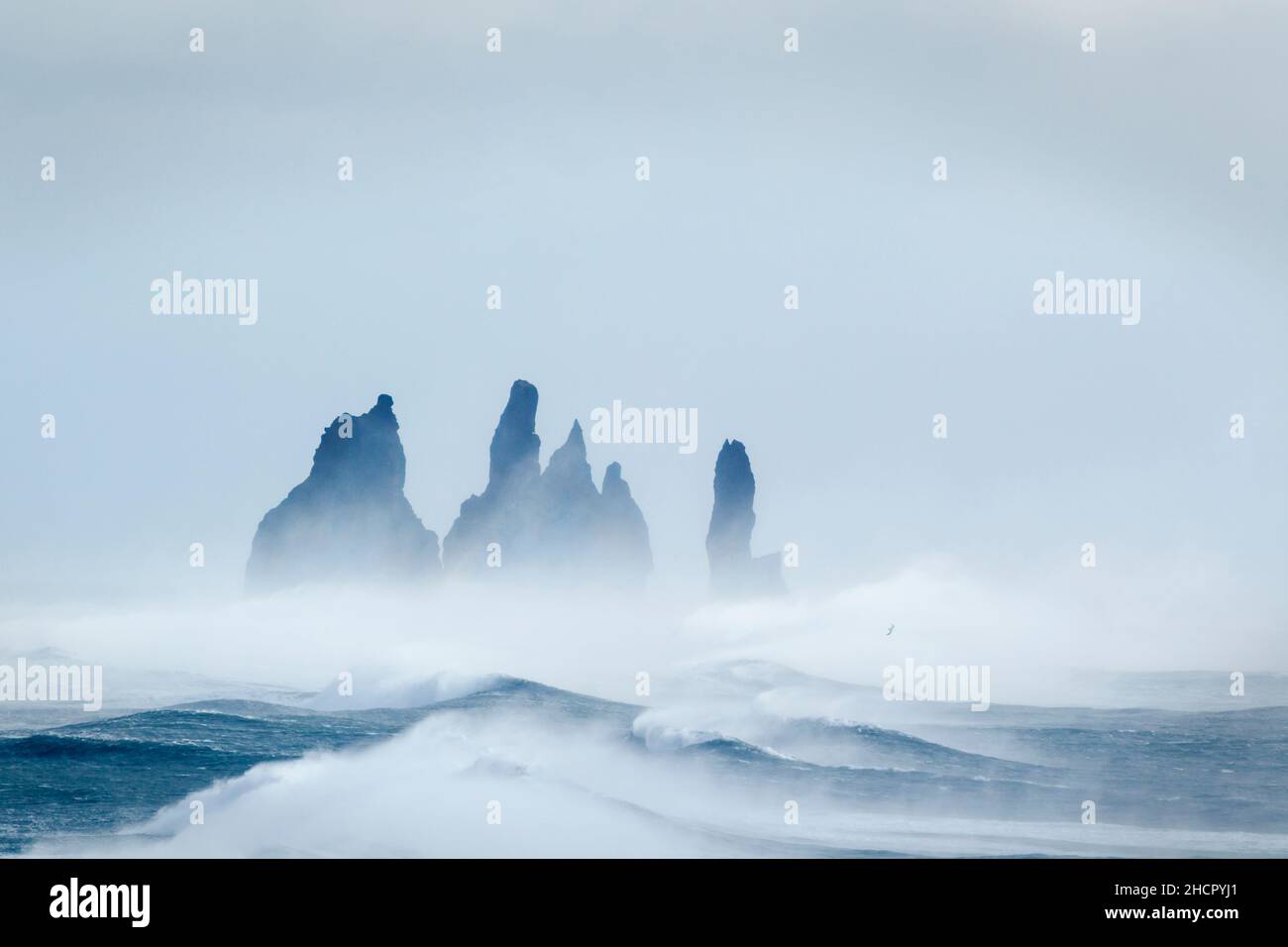 Des piles de rochers à Vik avec une mer orageux, vues dans une lumière froide de l'heure bleue Banque D'Images