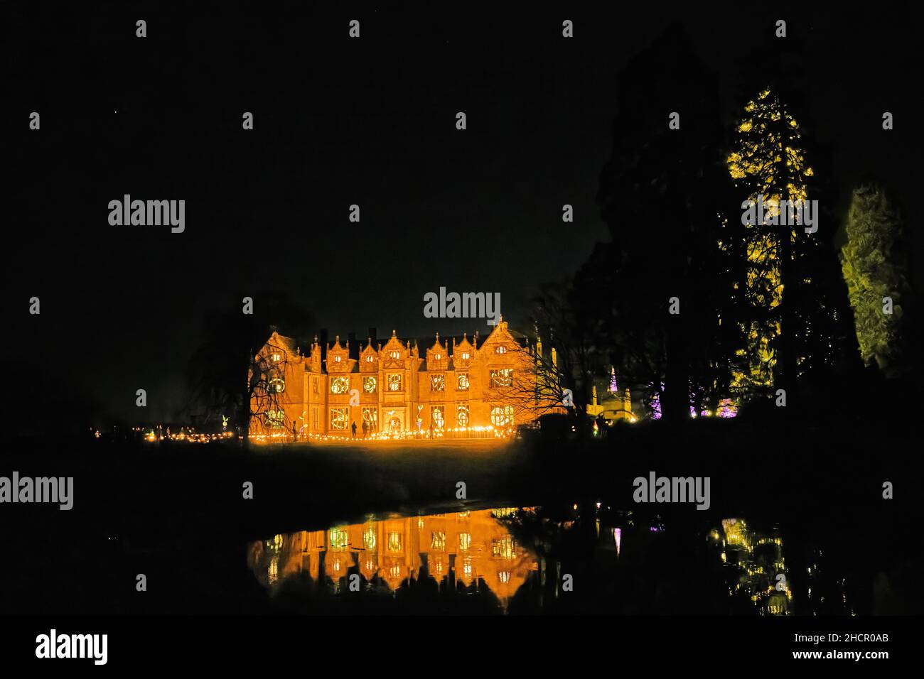 Scènes de Glow Wild à Wakehurst place Banque D'Images