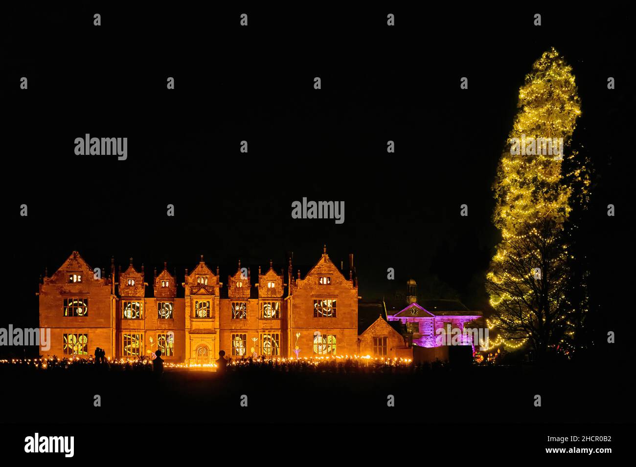 Scènes de Glow Wild à Wakehurst place Banque D'Images