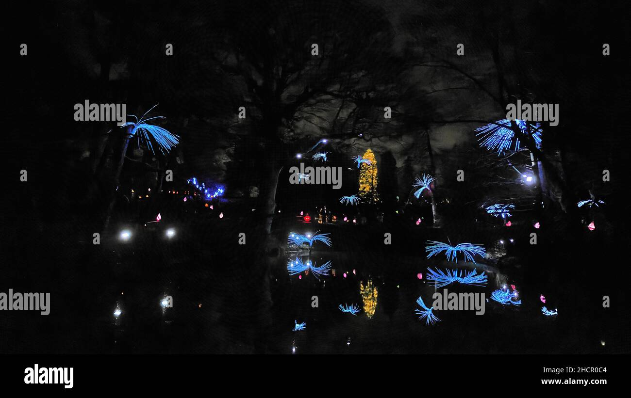 Scènes de Glow Wild à Wakehurst place Banque D'Images