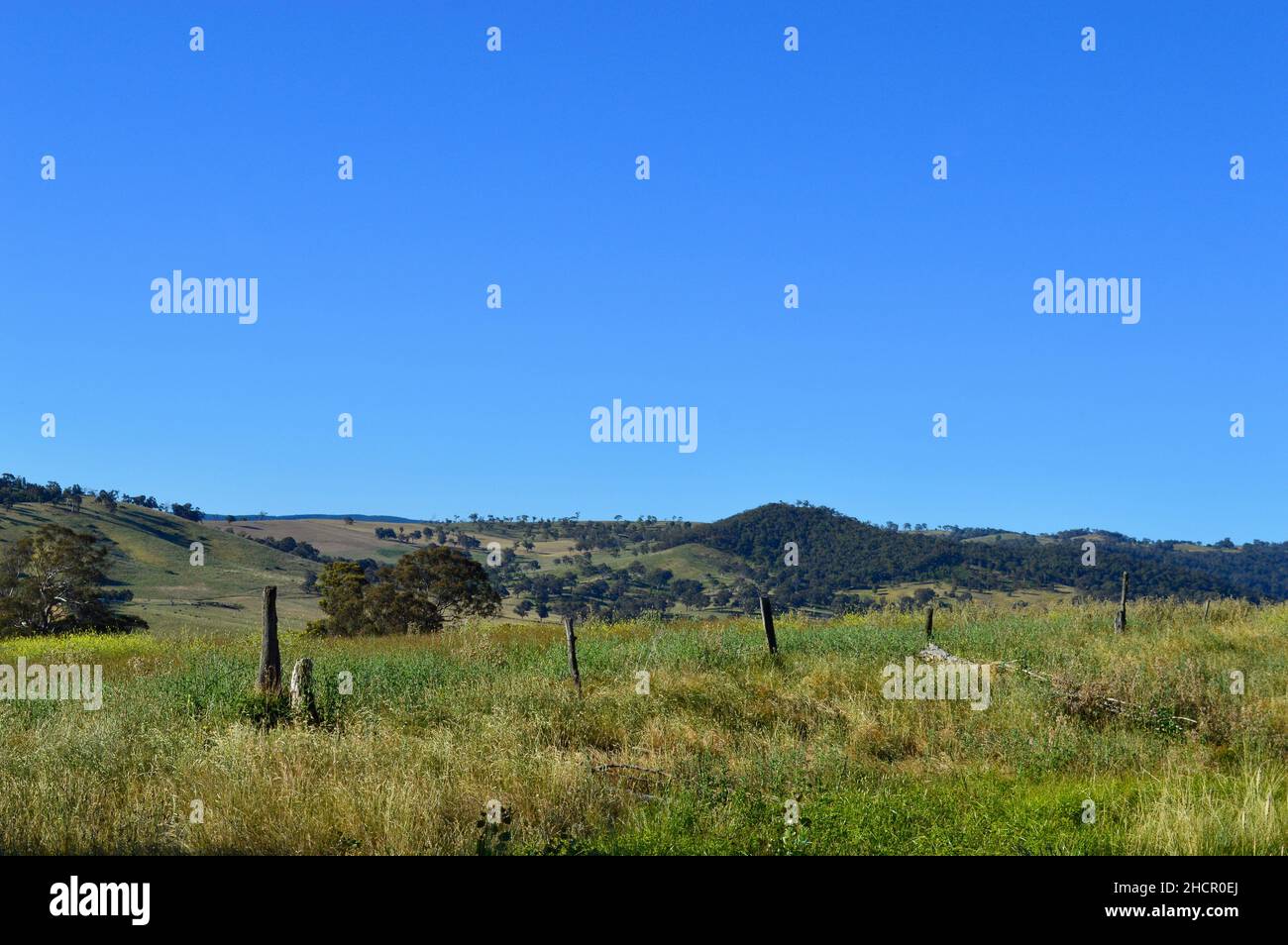 Ferme près de Sodmuls, en Nouvelle-Galles du Sud, en Australie Banque D'Images