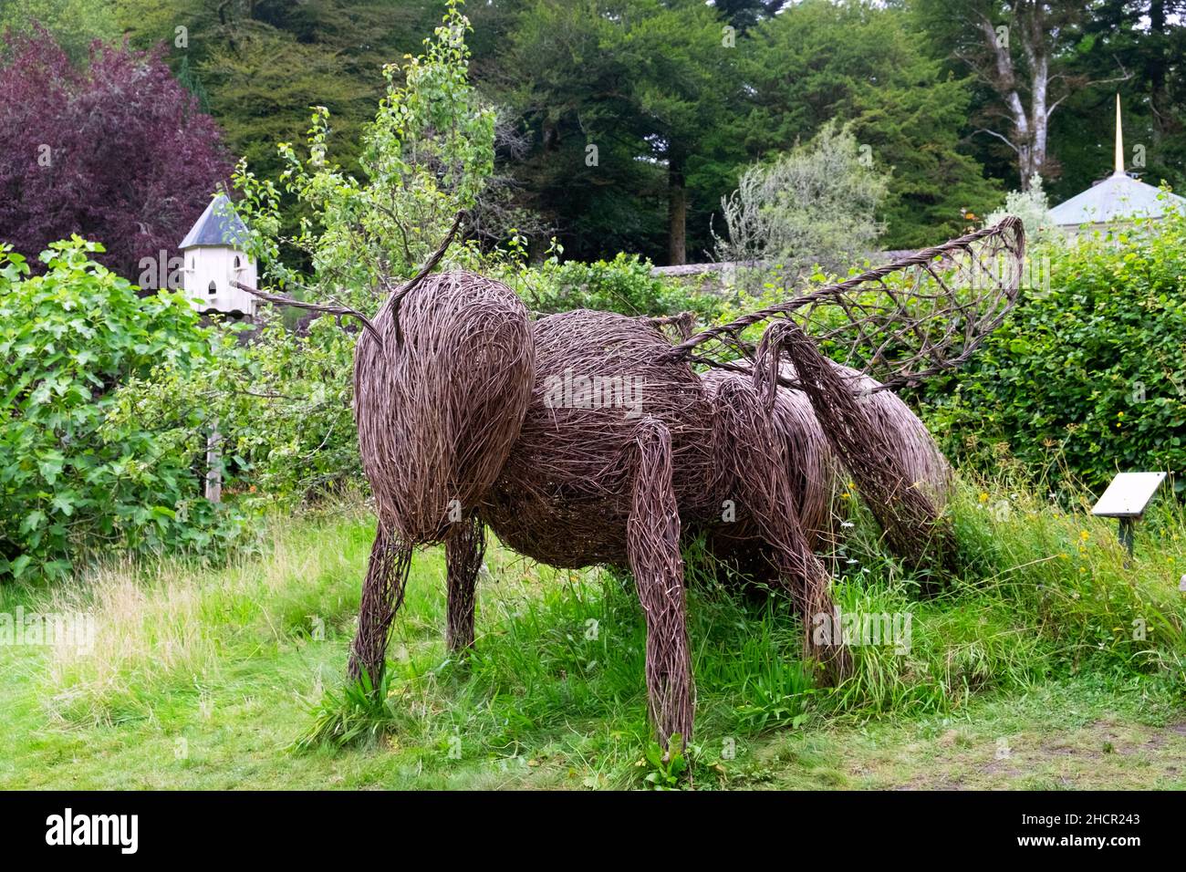 Bella the Bee sculpture de saule par Melanie Bastier dans le jardin clos de Colby Woodland Gardens Amroth Pembrokeshire Wales UK KATHY DEWITT Banque D'Images