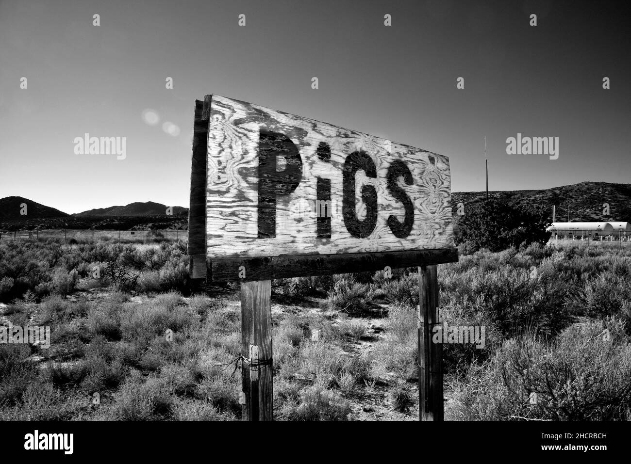 Un panneau de bord de route fait la publicité des porcs à la vente près de la campagne Ojo Caliente, Nouveau-Mexique Banque D'Images