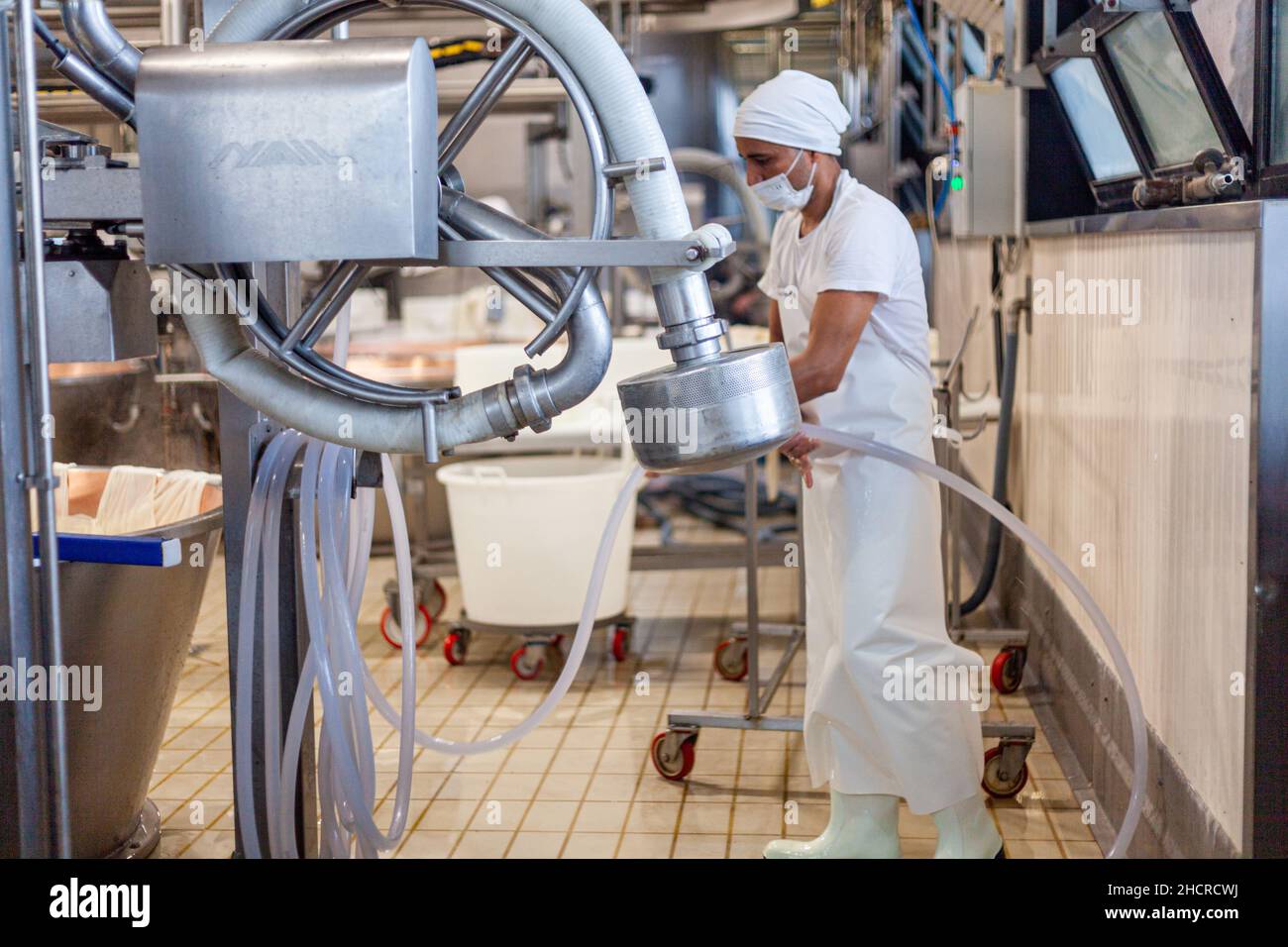 Fromagère laitière de fabrication de fromage, Parme 2064 roues de fabrication, et ouvriers avec des uniformes blancs Banque D'Images
