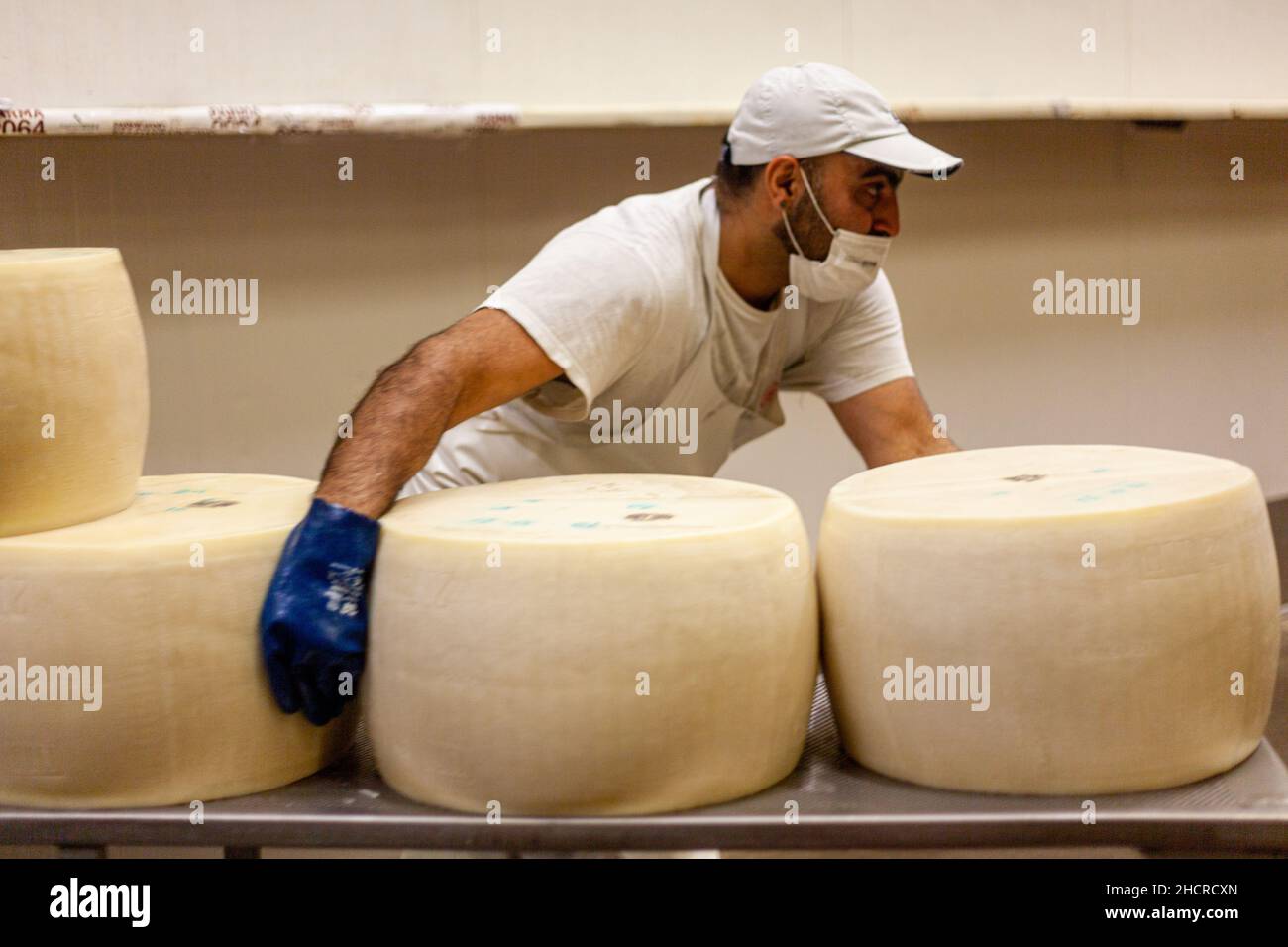 Fromagère laitière de fabrication de fromage, Parme 2064 roues de fabrication, et ouvriers avec des uniformes blancs Banque D'Images