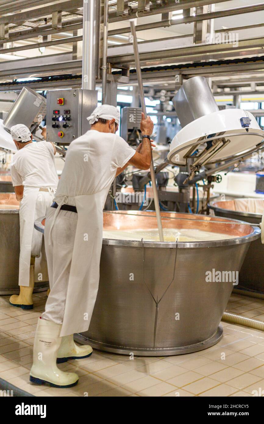 Fromagère laitière de fabrication de fromage, Parme 2064 roues de fabrication, et ouvriers avec des uniformes blancs Banque D'Images