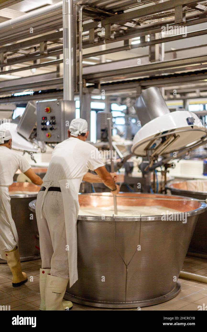 Fromagère laitière de fabrication de fromage, Parme 2064 roues de fabrication, et ouvriers avec des uniformes blancs Banque D'Images