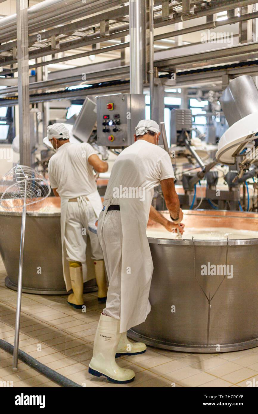Fromagère laitière de fabrication de fromage, Parme 2064 roues de fabrication, et ouvriers avec des uniformes blancs Banque D'Images
