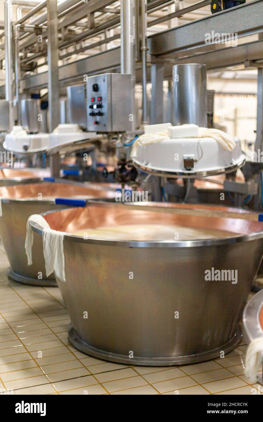 Fromagère laitière de fabrication de fromage, Parme 2064 roues de fabrication, et ouvriers avec des uniformes blancs Banque D'Images