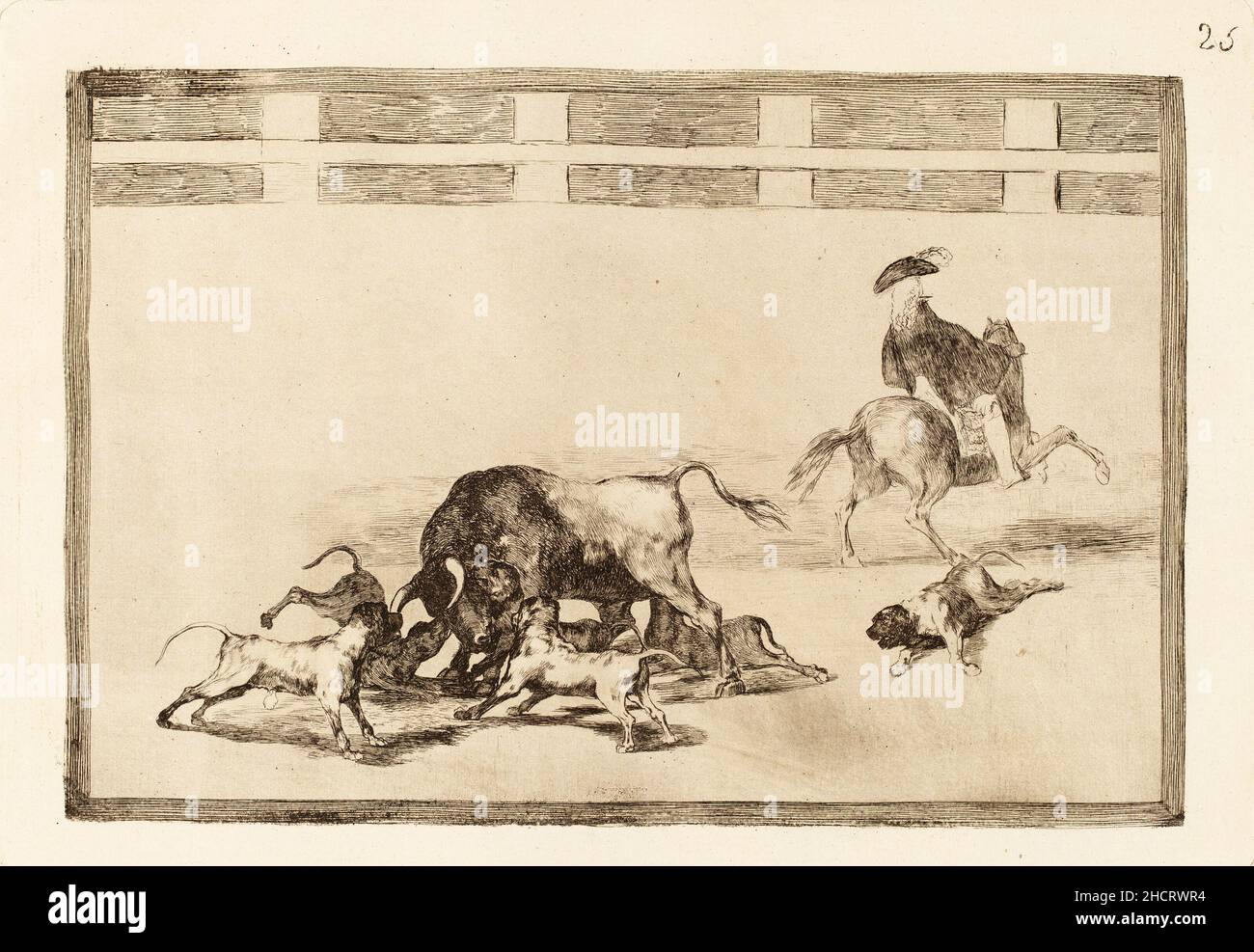 Francisco de Goya, Echo perros al toro (ils lâche des chiens sur le taureau),.Il s'agit de l'impression numéro 25 dans une série d'impression 33 sur la corrida. Banque D'Images