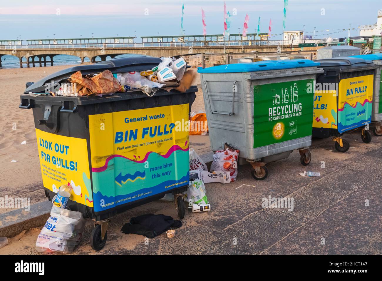 Angleterre, Dorset, Bournemouth, front de mer de Bournemouth, mouettes se nourrissant de poubelles débordant Banque D'Images