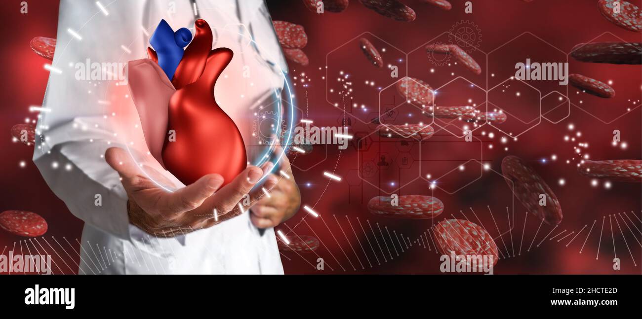 Médecin tenant un coeur de 3D entouré de globules rouges dans le concept de la santé cardiaque, l'assurance médicale et le statut personnel.Supports mixtes.L'avenir médical Banque D'Images