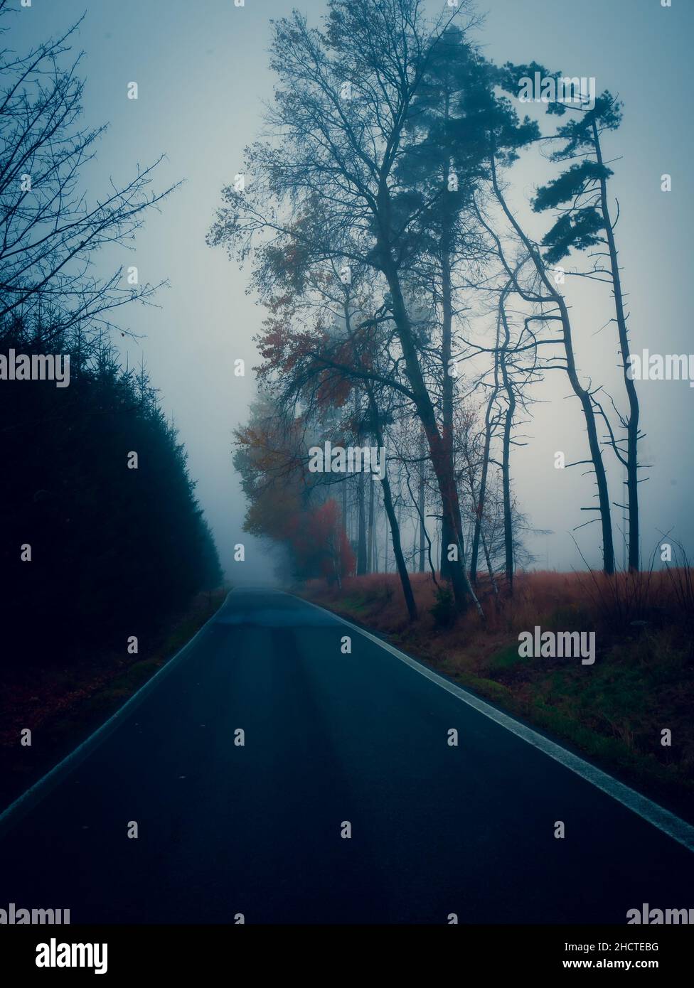 Route asphaltée par temps brumeux, mauvais temps, brouillard, ligne, arbres,paysage sombre d'automne. Banque D'Images