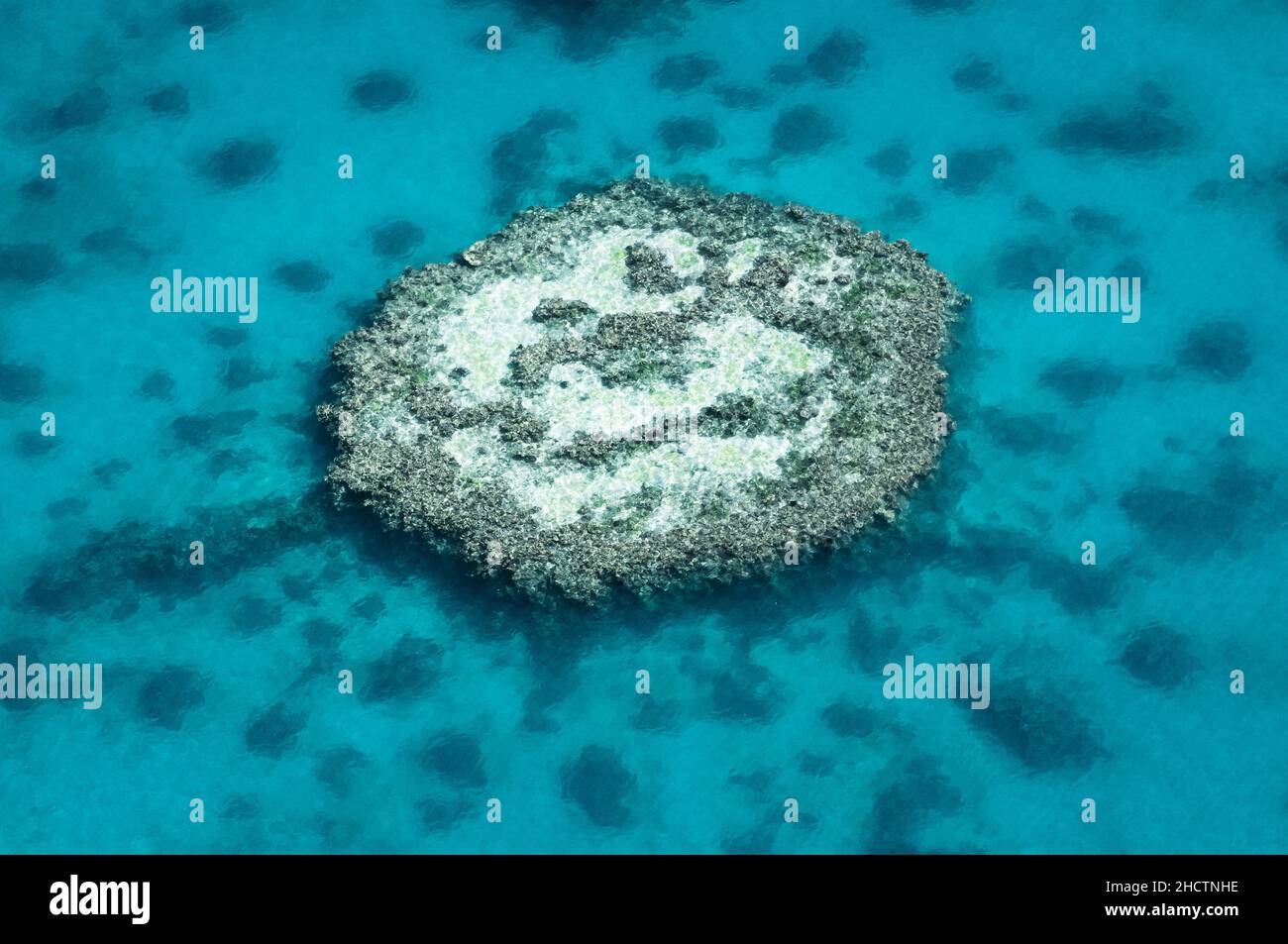 Smiley Reef dans la Grande barrière de corail classée au patrimoine mondial. Banque D'Images