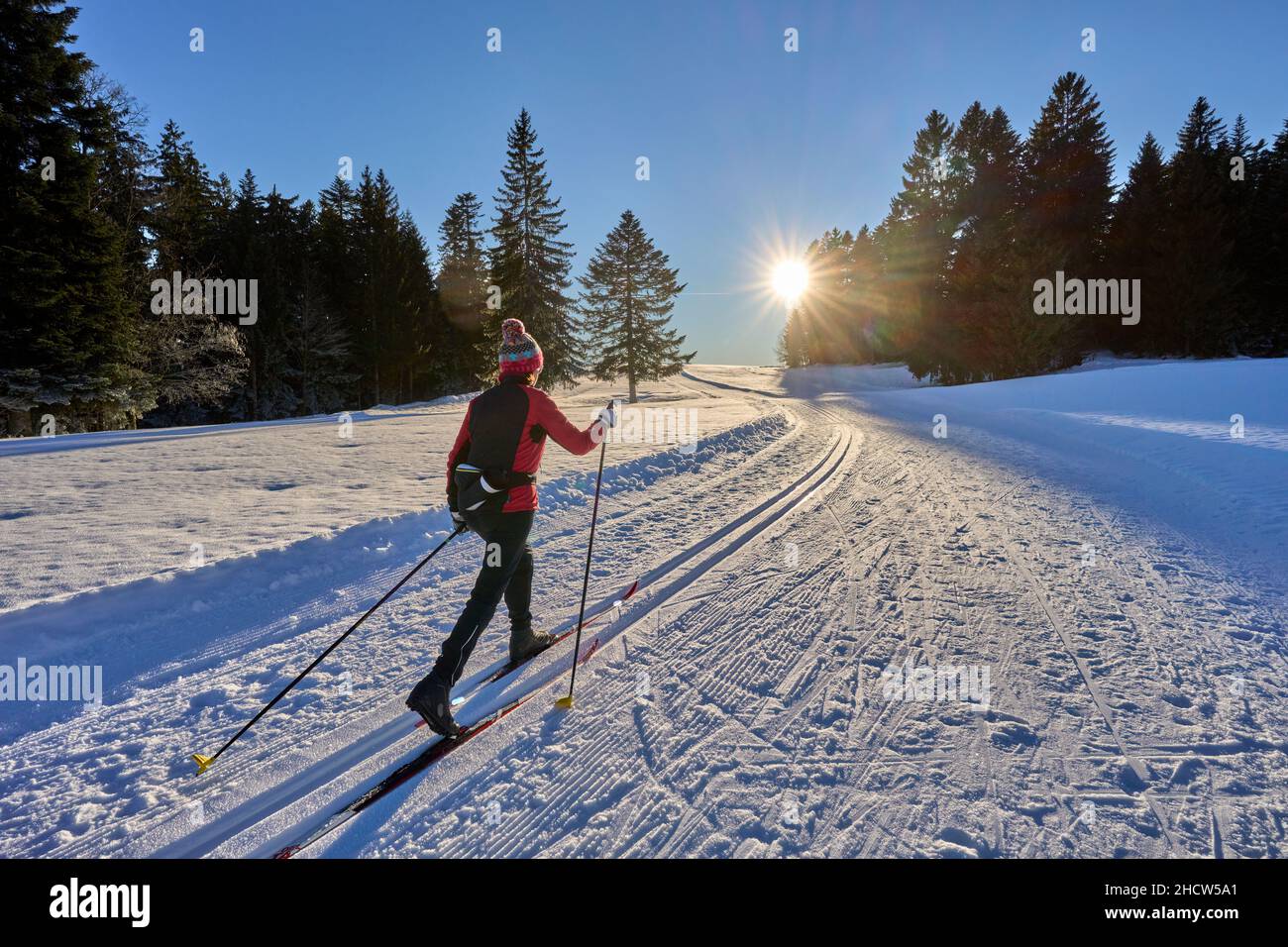 Femme active, ski de fond dans les montagnes de la forêt de Bregenz près de Sulzberg, Vorarlberg, Autriche Banque D'Images