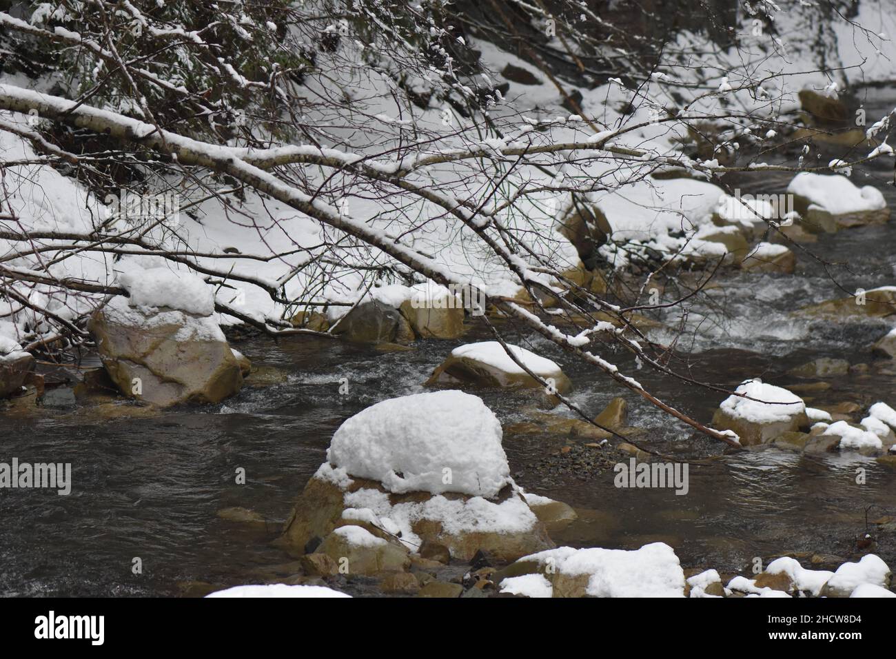 Rivière froide avec pierres enneigées et arbres en arrière-plan Banque D'Images