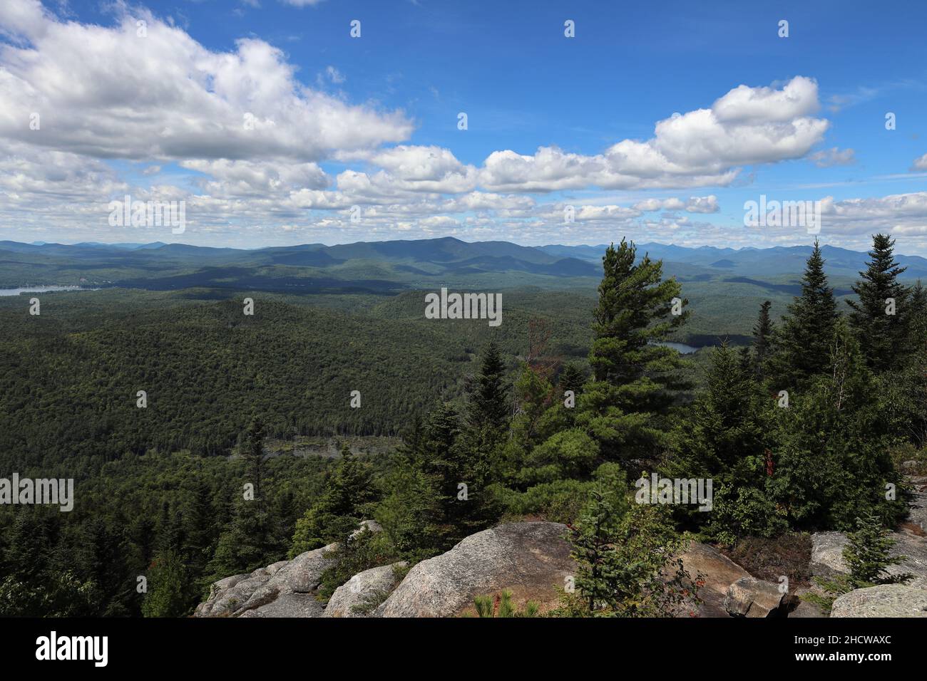 Imaginez une vue estivale parfaite des montagnes Adirondack High Peaks depuis le sommet de 2 556' de Pharaoh Mountain, New York, États-Unis Banque D'Images