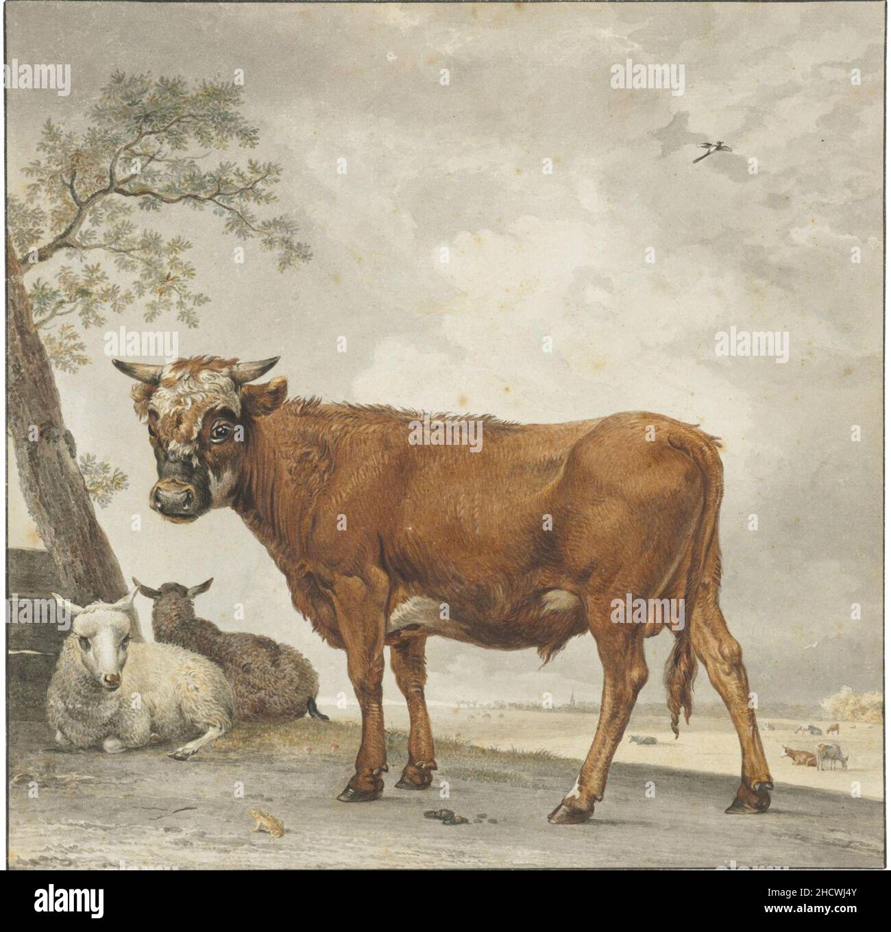 Reinier Vinkeles d'après Paulus Potter - Un taureau et un mouton dans un paysage 2019 CKS 17704 0029. Banque D'Images
