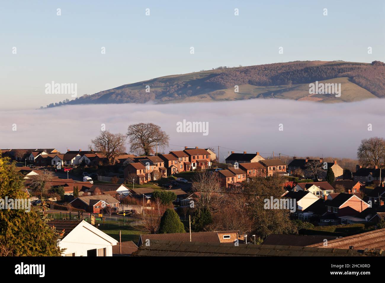 Brouillard sur la rivière Severn , Welshpool, Powys, royaume-uni Banque D'Images
