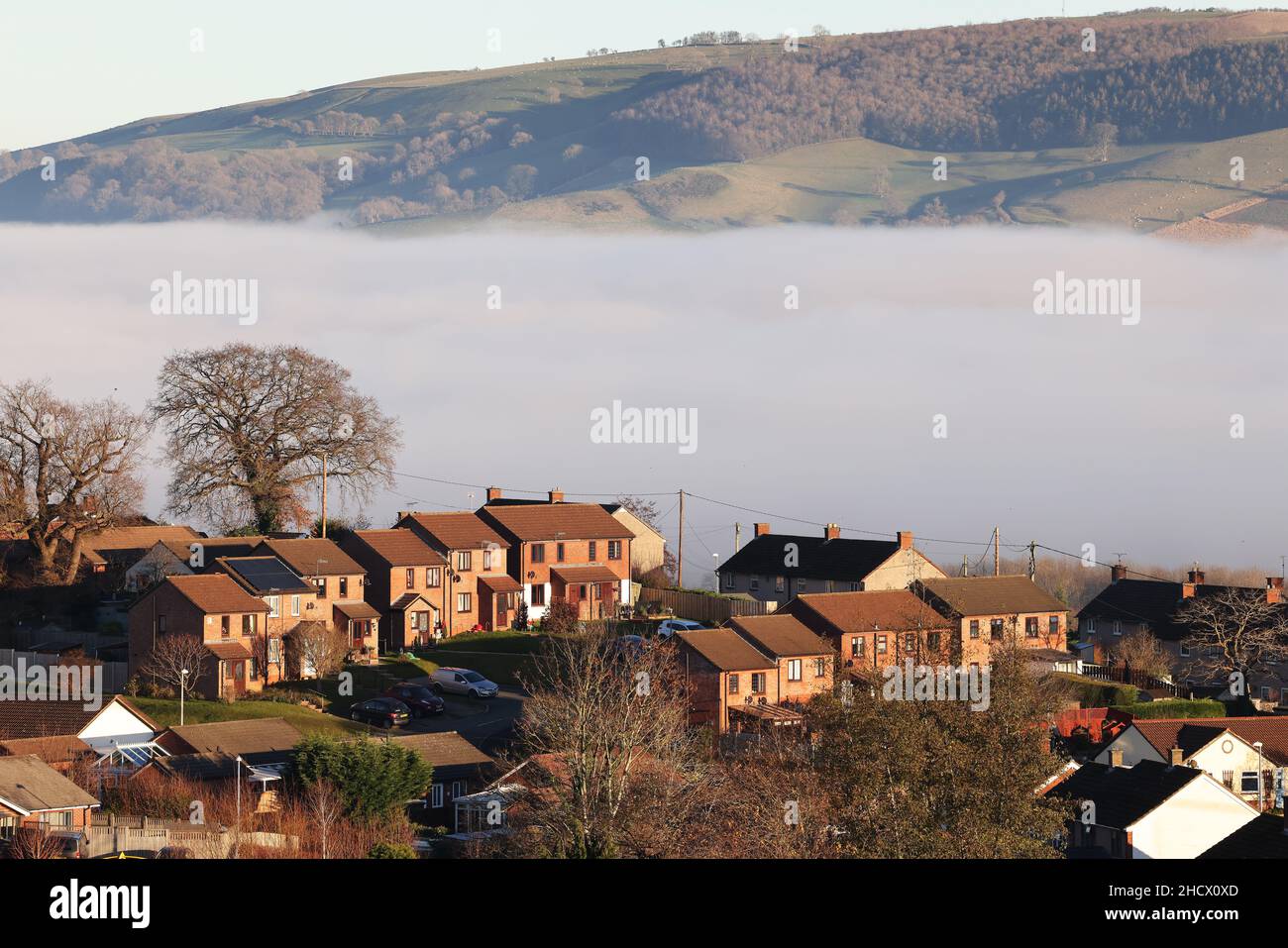 Brouillard sur la rivière Severn , Welshpool, Powys, royaume-uni Banque D'Images