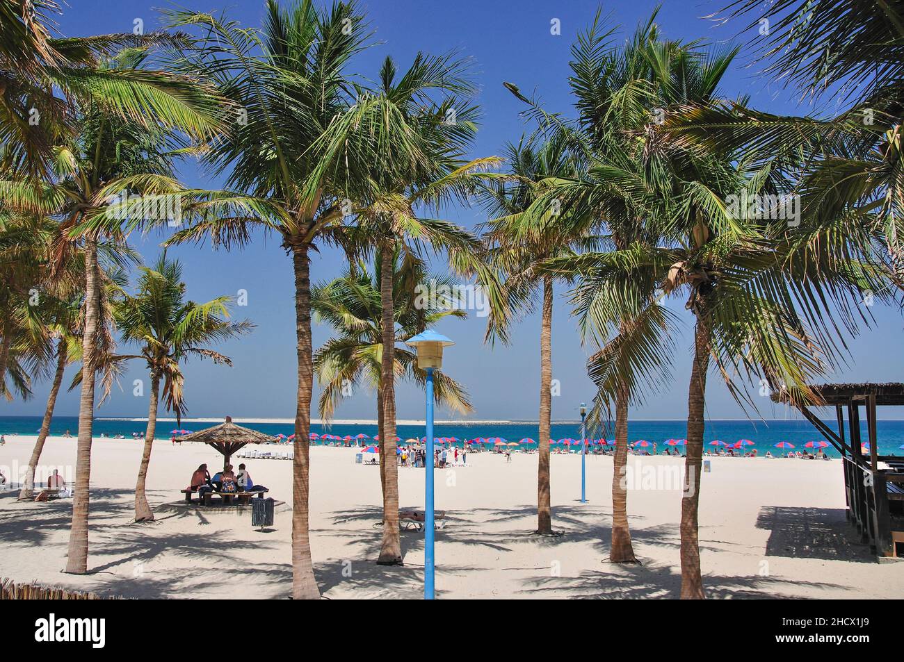 Vue de la plage, l'hôtel Jumeirah Beach Park, Jumeirah, Dubai, Émirats Arabes Unis Banque D'Images