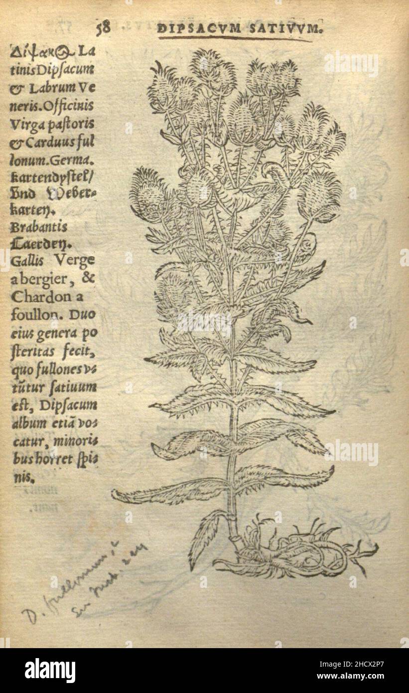 trium prium de jinspium historia commentariorum imamines ad viuum expressae (page 58) Banque D'Images
