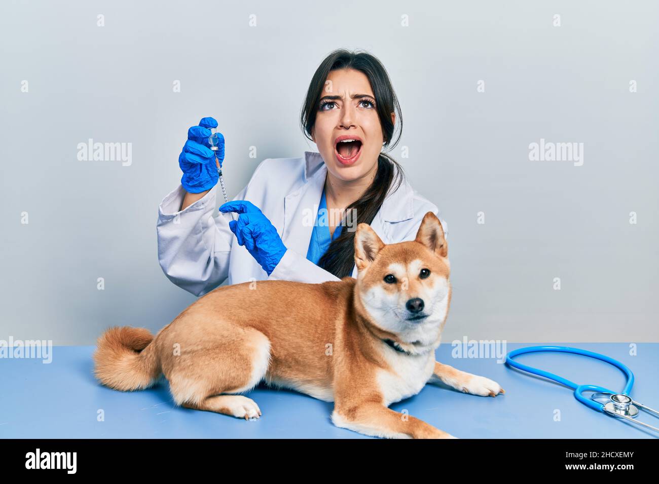 Belle femme vétérinaire hispanique mettant le vaccin à chien de chiot en colère et fou criant frustré et furieux, criant avec la colère regardant vers le haut. Banque D'Images