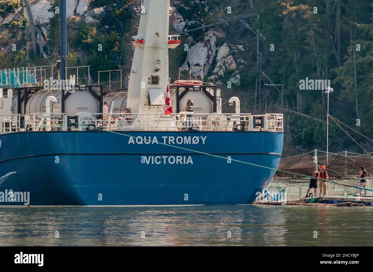 Les travailleurs sont éclipsés par un navire amarré à une ferme de saumon Grieg netcage en Colombie-Britannique.Les grands réservoirs à bord sont destinés au traitement des infestations de poux de mer. Banque D'Images