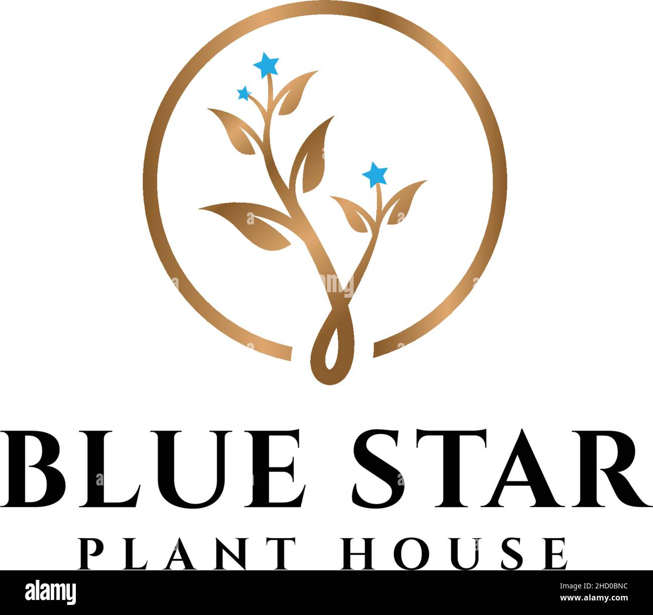 Design moderne LOGO ÉTOILE BLEUE DE LA MAISON DE PLANTES Illustration de Vecteur