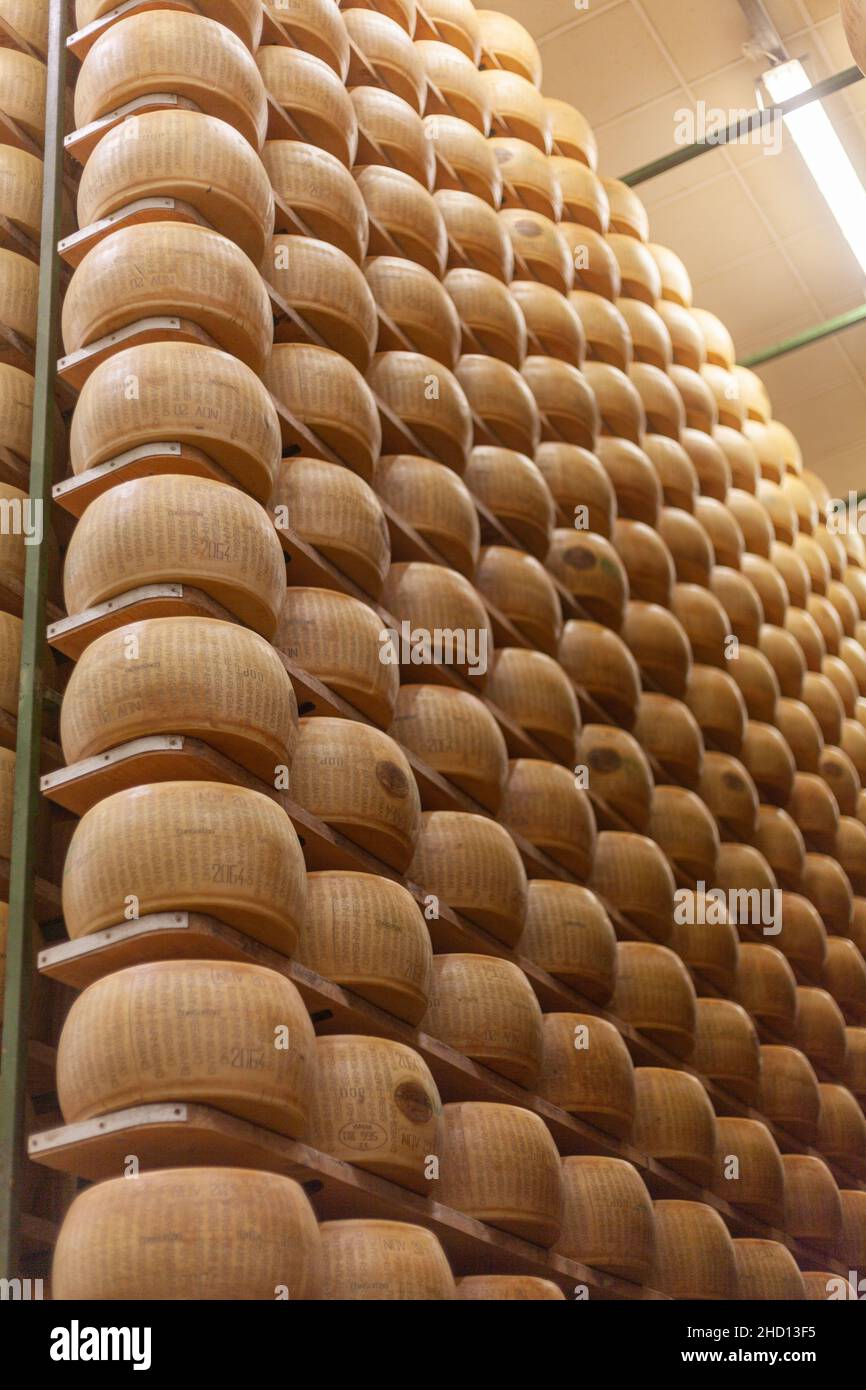 Faible angle de gros plan des roues de fromage sur les casiers, ferme de journal Parme 2064 à Fidenza, Italie Banque D'Images