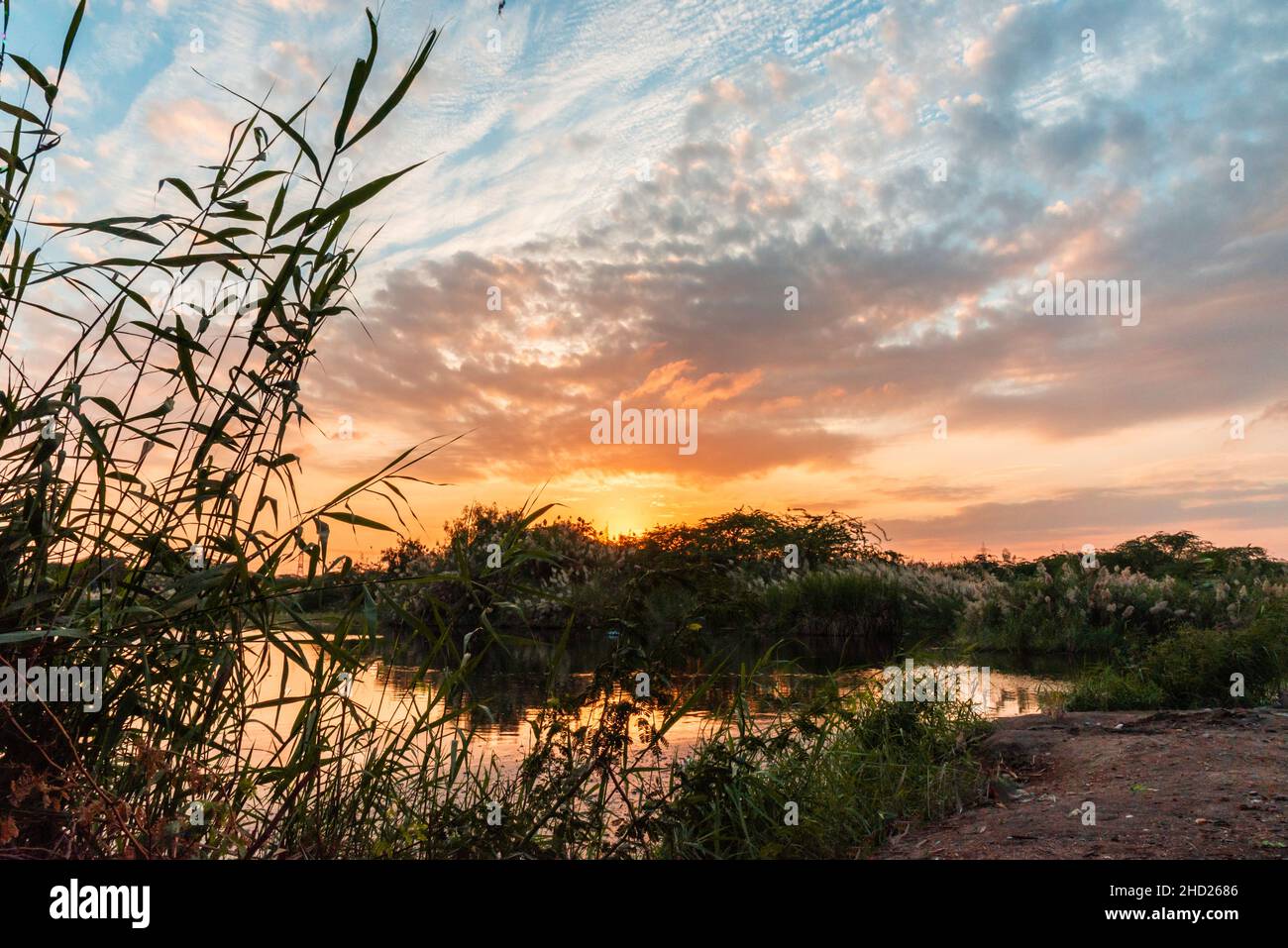 Vue sur la nature au coucher du soleil à Green Valley de Jeddah, Arabie Saoudite Banque D'Images