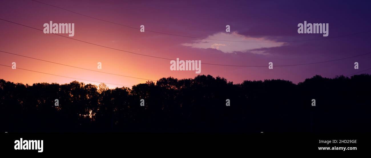 Coucher de soleil derrière les arbres, ciel violet orange vif.Les lignes électriques s'affaissent contre un ciel coloré Banque D'Images