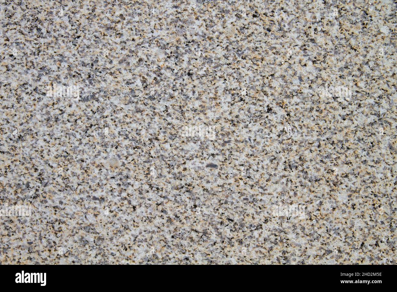 Gros plan sur la texture en granit poli Banque D'Images