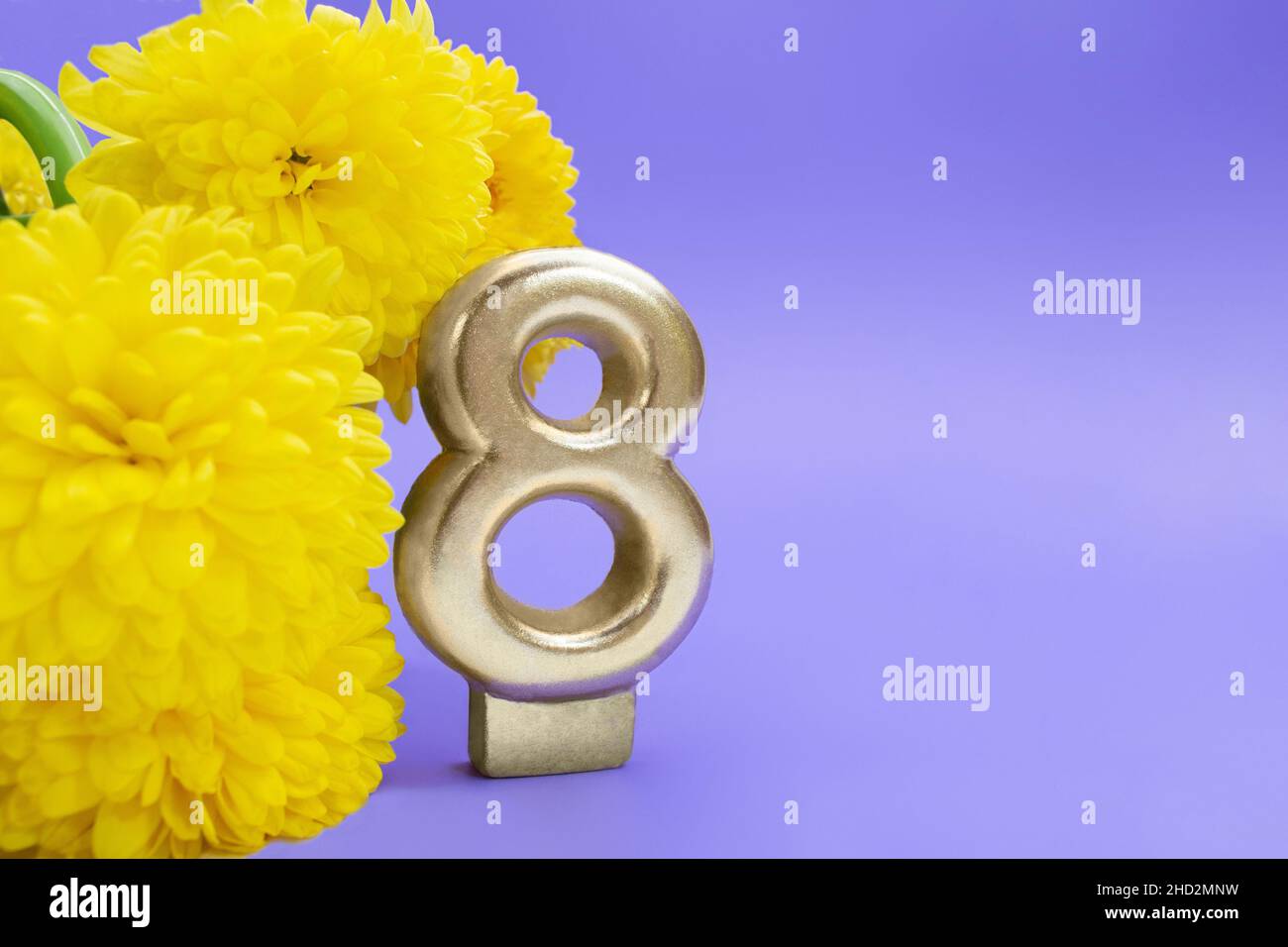 Fleurs jaunes de chrysanthème avec le numéro huit sur fond lilas.8 mars, Journée internationale de la femme, anniversaire.Copier l'espace Banque D'Images