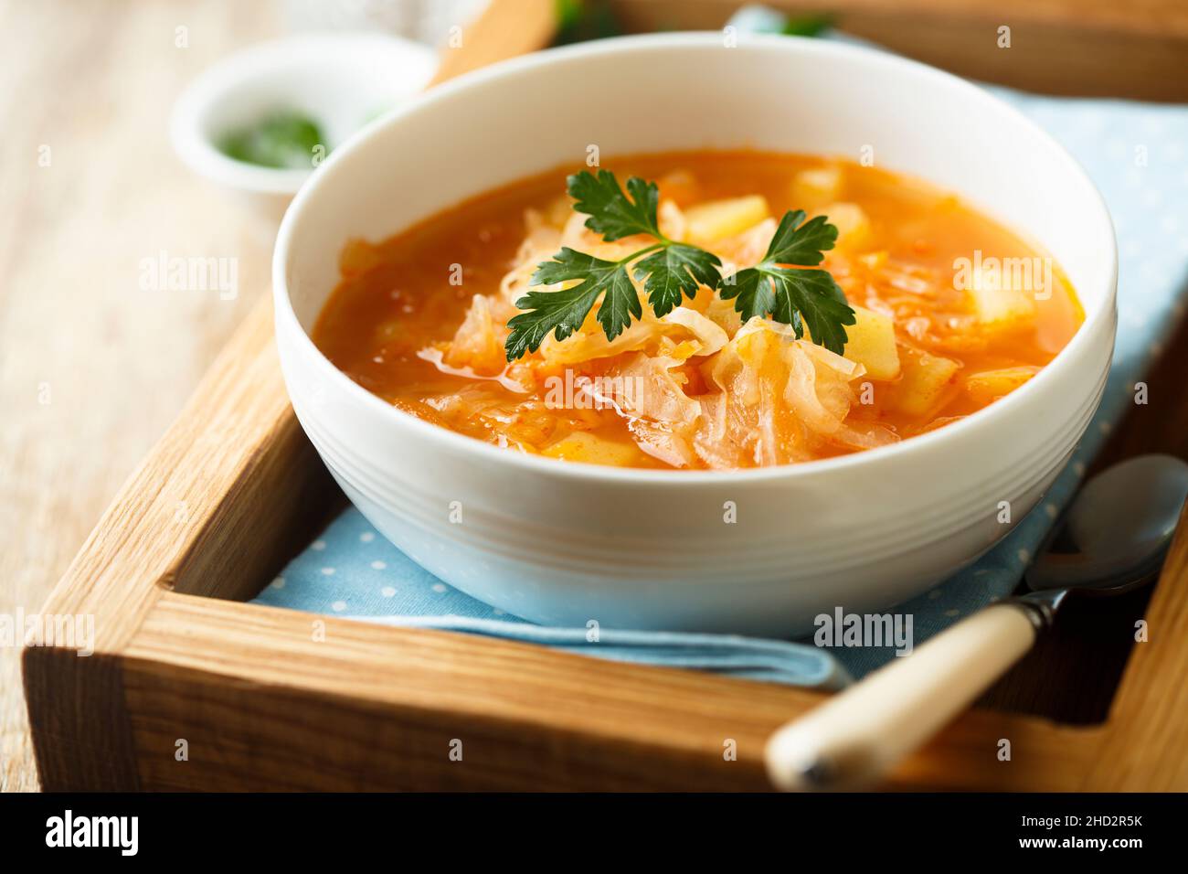 Soupe de choucroute maison saine Banque D'Images