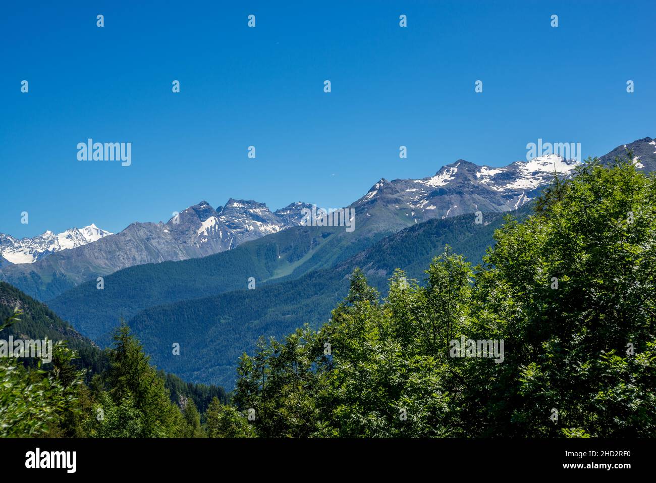 Panorama sur la montagne avec le Monte Bianco enneigé en arrière-plan Banque D'Images