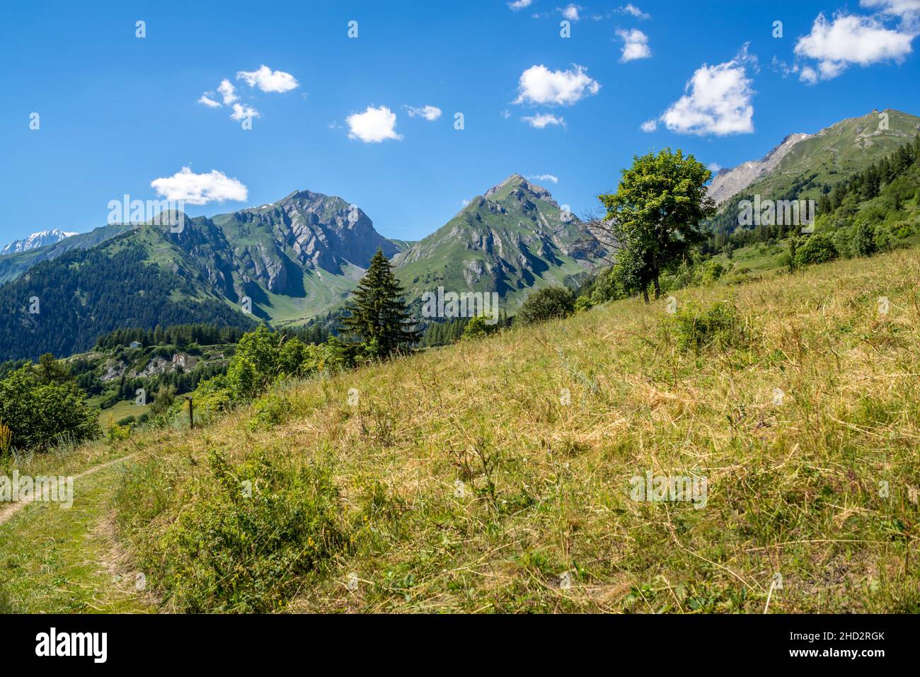 Panorama sur la montagne avec le Monte Bianco enneigé en arrière-plan Banque D'Images