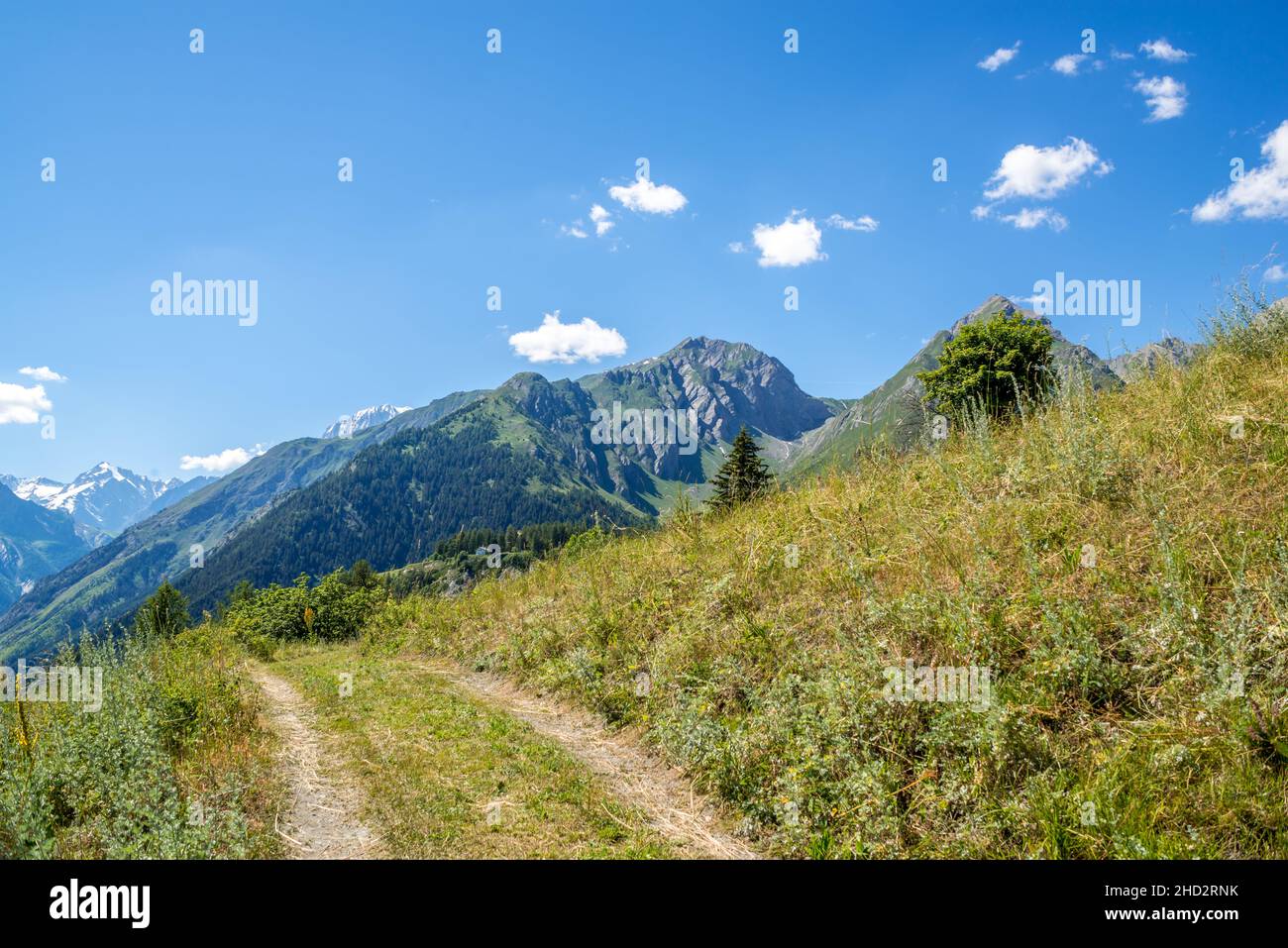 Panorama sur la montagne avec le Monte Bianco enneigé en arrière-plan Banque D'Images