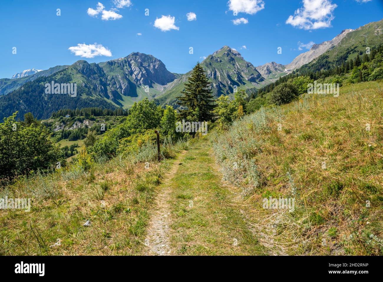 Panorama sur la montagne avec le Monte Bianco enneigé en arrière-plan Banque D'Images