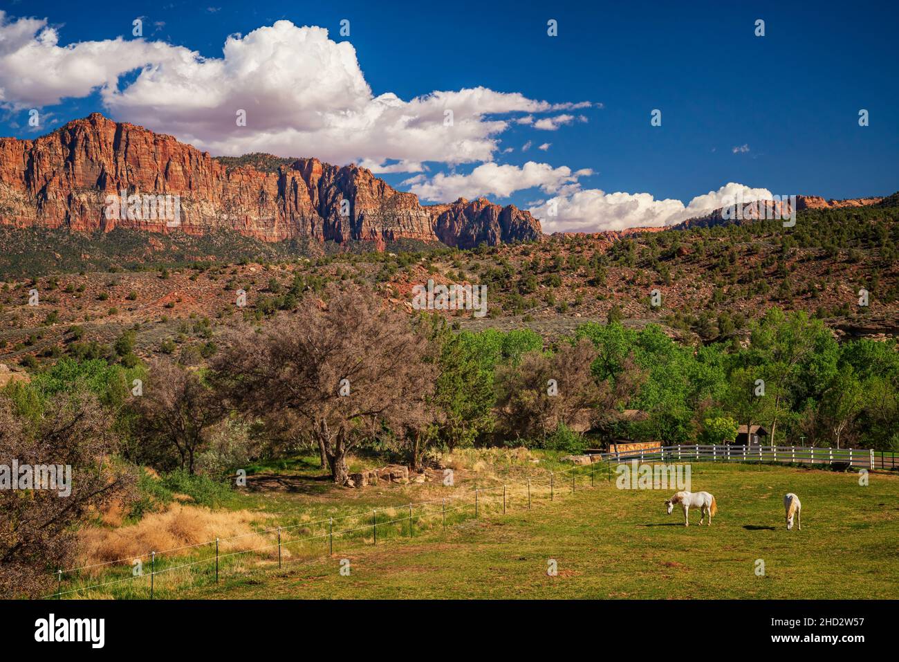 Paysage spectaculaire du sud-ouest près de Springdale, Utah Banque D'Images