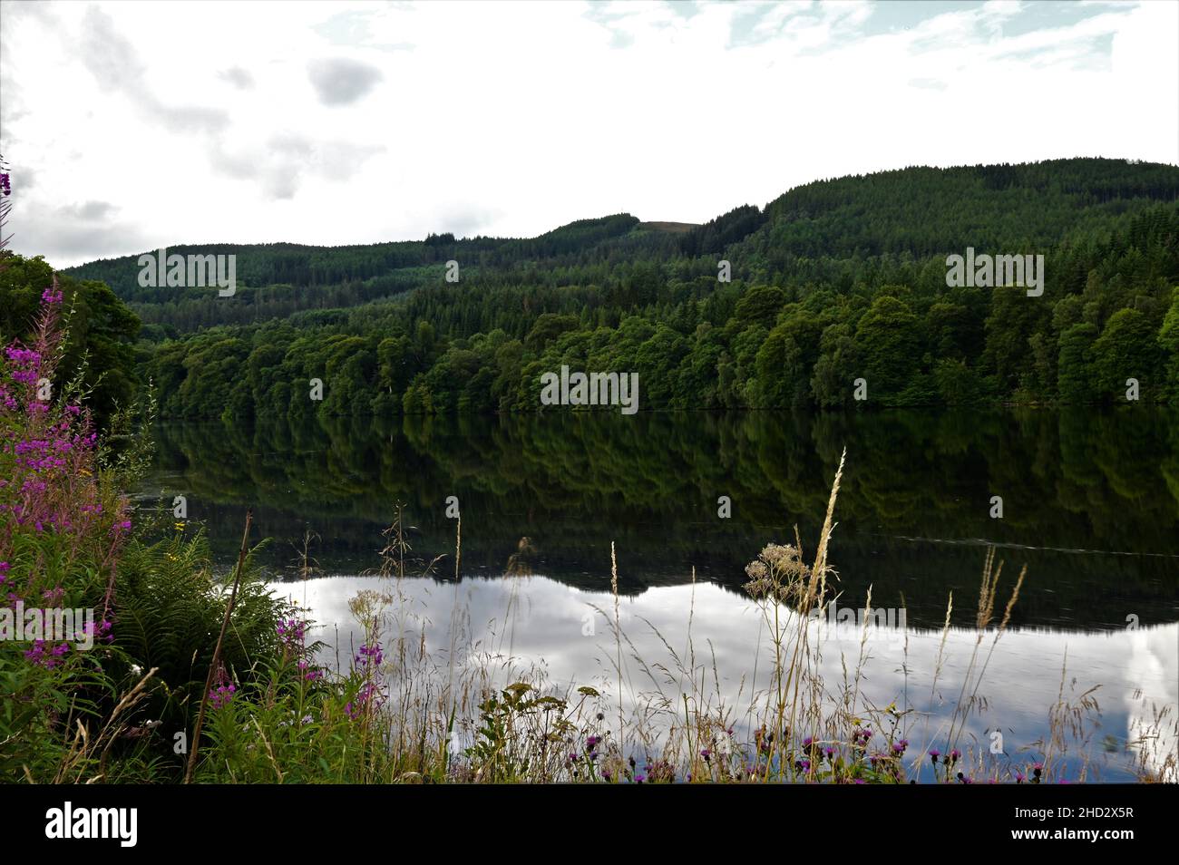 Une vue sur un loch calme Faskally à Pitlochry, Perthshire, Écosse. Banque D'Images