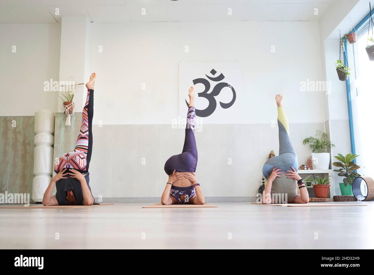 Groupe de jeunes femmes sportives pratiquant le yoga, s'étirant dans l'exercice Halasana, posture du Plough, s'entraîner Banque D'Images