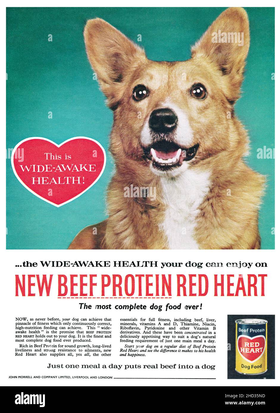 Publicité de nourriture pour chien Banque de photographies et d'images à  haute résolution - Alamy